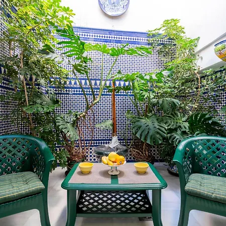 Alameda Apartment
